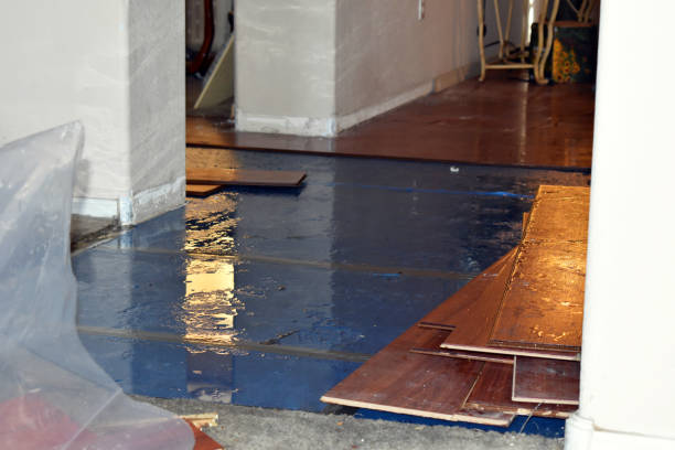 Professional Burst Pipe Cleanup technician working in Soda Springs, CA
